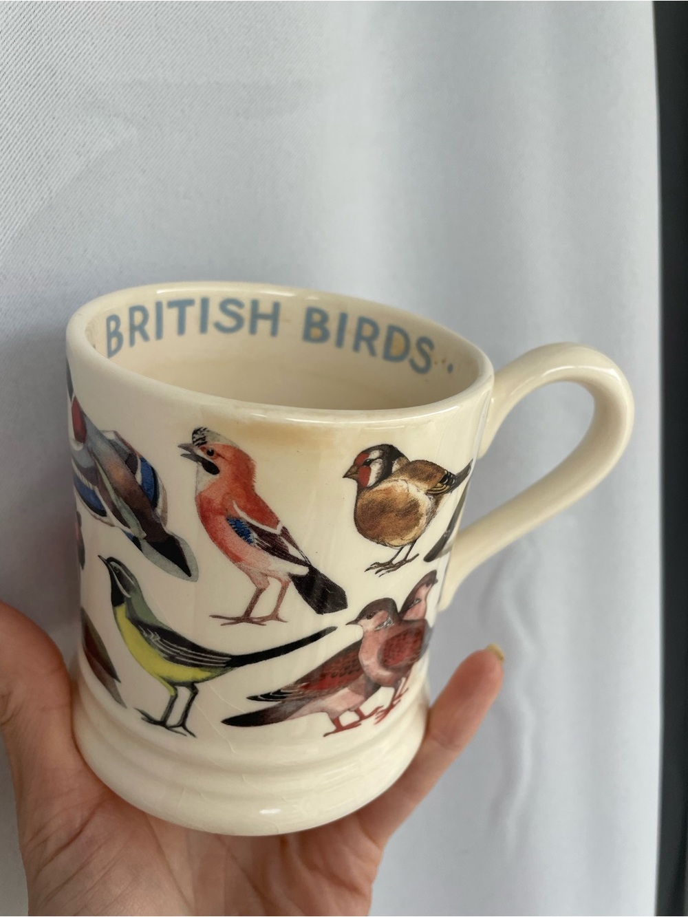 British Birds Ceramic Mug - Cream with Multicolor Bird Illustrations